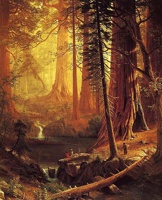 bierstadt-redwoods